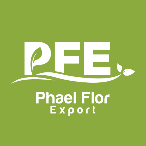 Phael Flor Export export Organic Spices: Cinnamon, Turmeric, Ginger, Clove, Pinkpepper, Vanilla... and plant extract: Pepper, Geranium, Clove, Ravintsara...