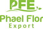 Phael Flor Export