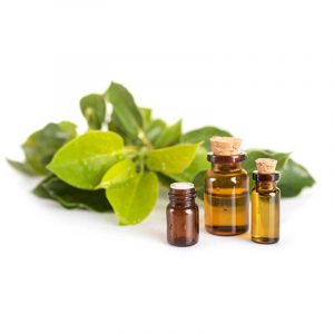 Essential Oil of Organic Ravintsara Madagascar